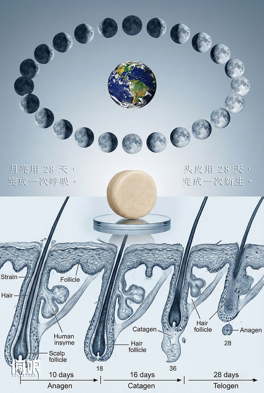 信息遁入虚无境，刷新使它不再虚无